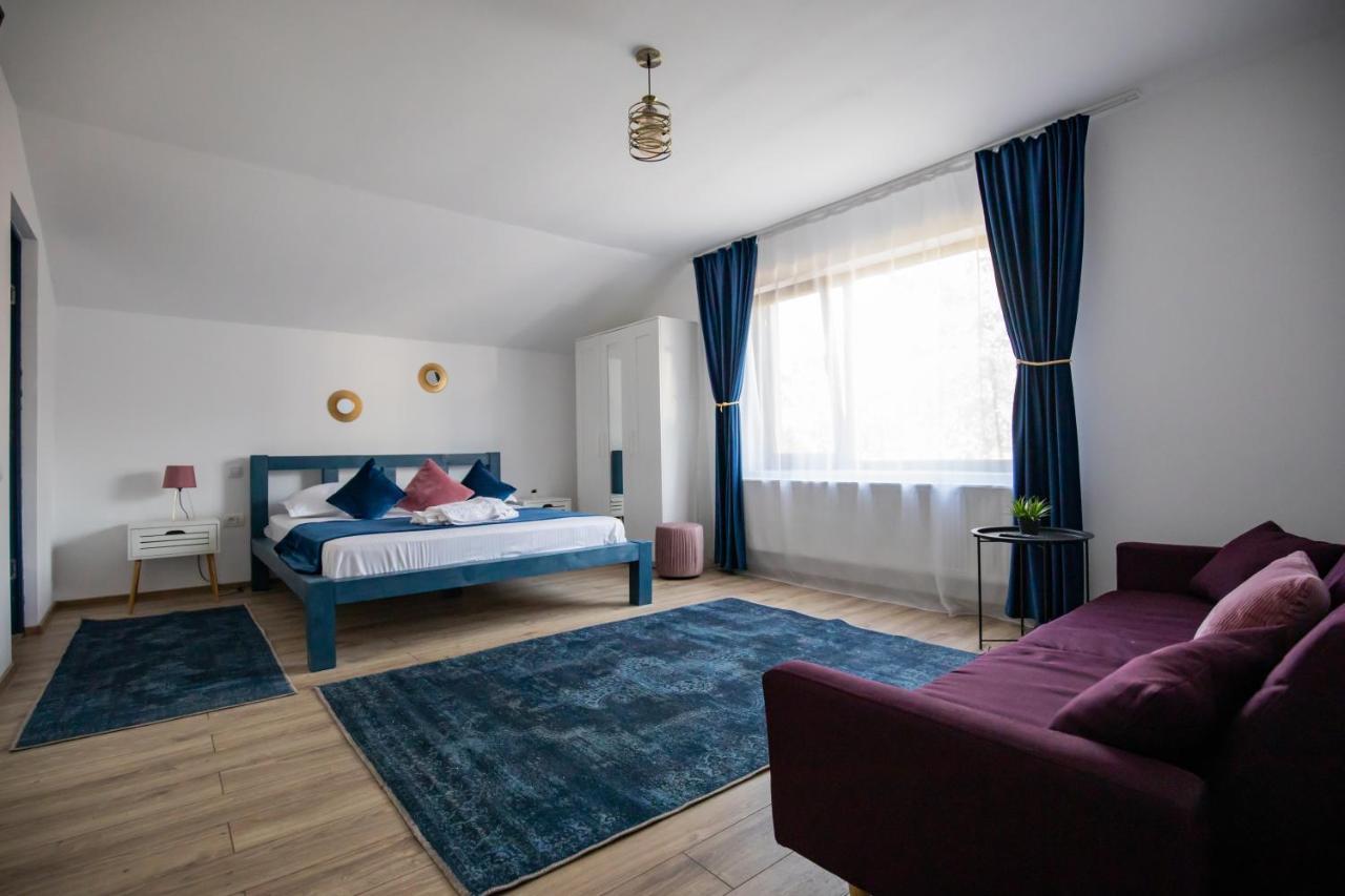 Dania&Petru Residence Тыргу-Окна Экстерьер фото